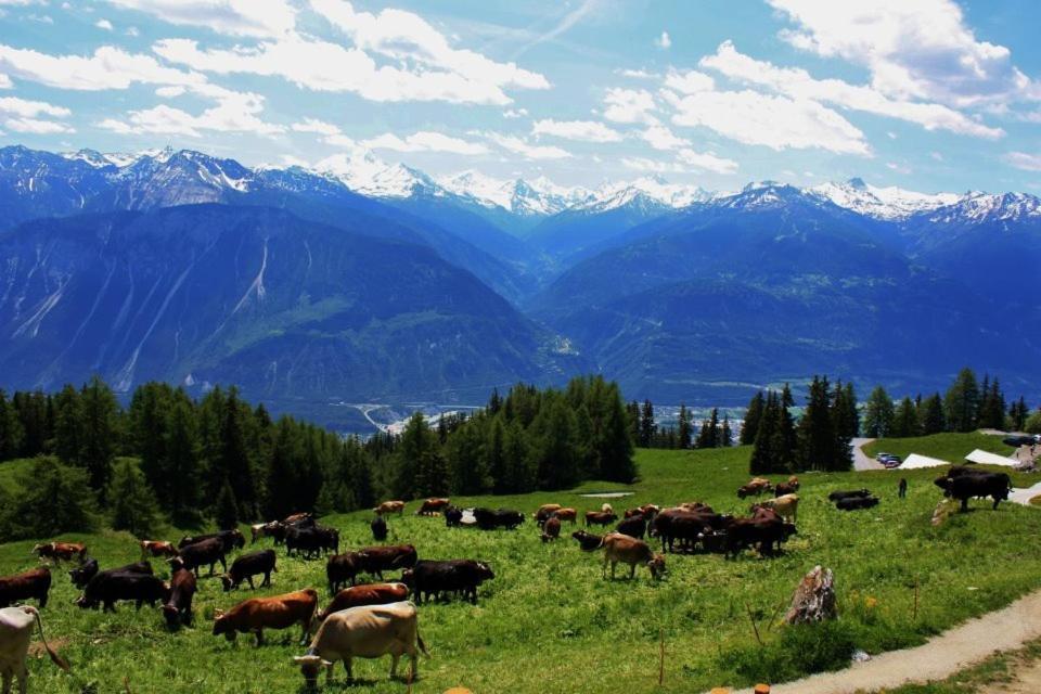 Le Mayen De Colombire Crans-Montana Eksteriør bilde